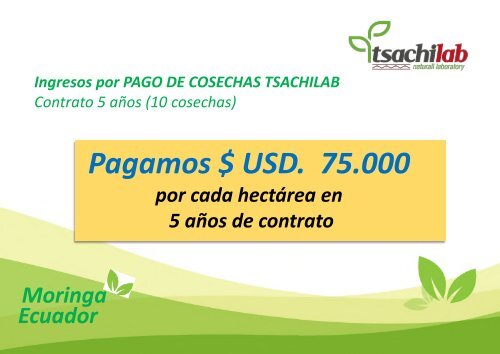 MORINGA ECUADOR TSachiLab 7500 Herrera