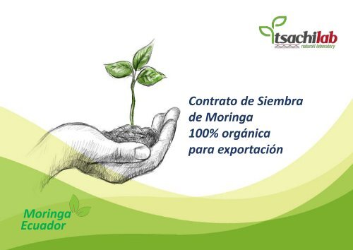 MORINGA ECUADOR TSachiLab 7500 Herrera