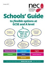 NEC Guide for Schools
