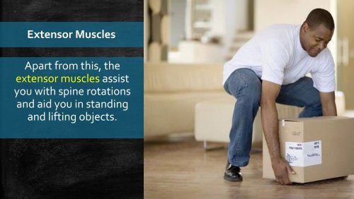 Lower Back Pain Understanding