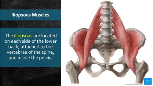 Lower Back Pain Understanding