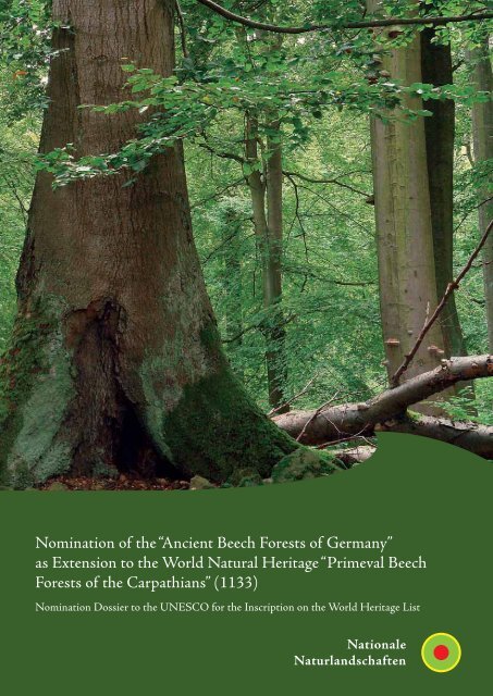 Ancient Beech Forests of Germany - Weltnaturerbe Buchenwälder