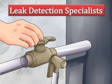 Leak Detection Specialists