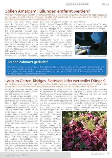 Regio-Journal 11/2017