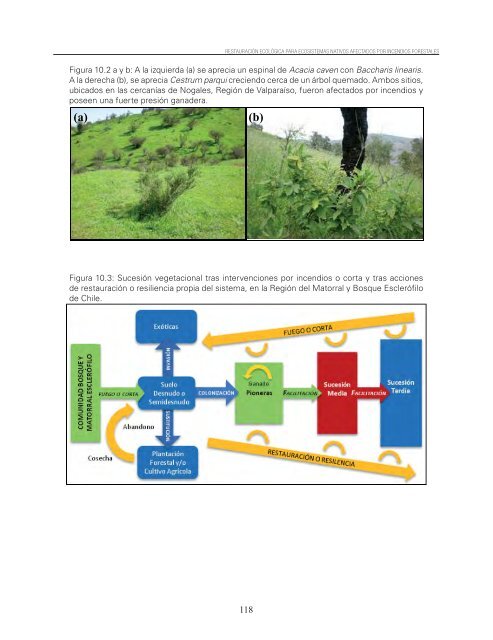 Restauracion ecologica ecosistemas nativos