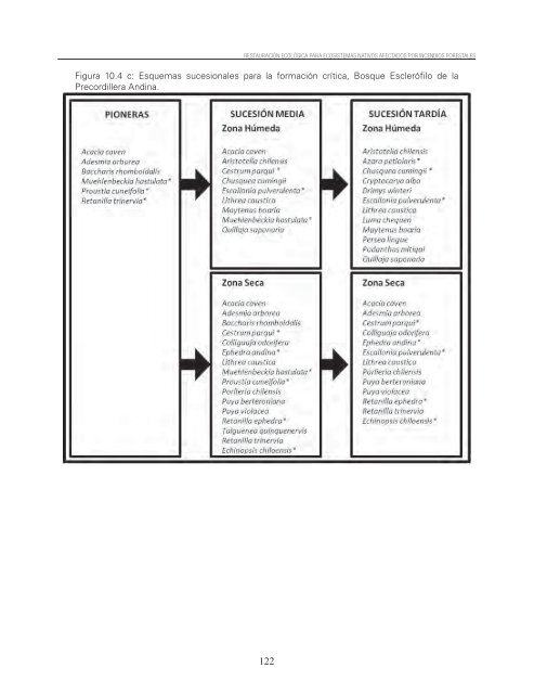 Restauracion ecologica ecosistemas nativos