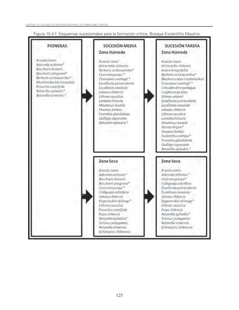 Restauracion ecologica ecosistemas nativos