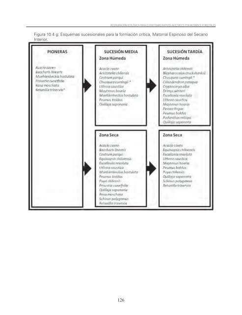 Restauracion ecologica ecosistemas nativos