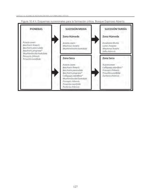 Restauracion ecologica ecosistemas nativos