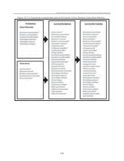 Restauracion ecologica ecosistemas nativos