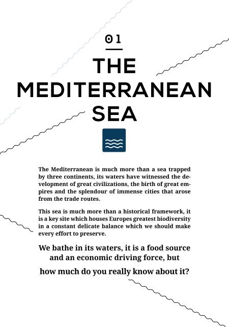 u1_web_the_mediterranean_sea
