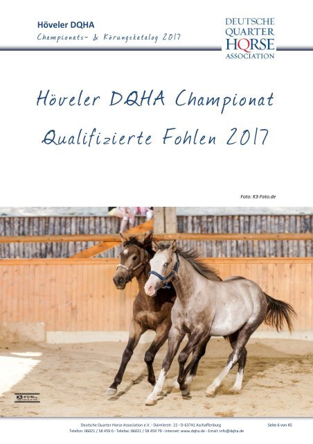 Höveler DQHA Championats-Körungs-Katalog 2017