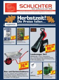 B. Schlichter_Herbstzeit