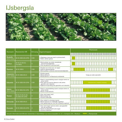 IJsbergsla 2019 | 2020 voor telers