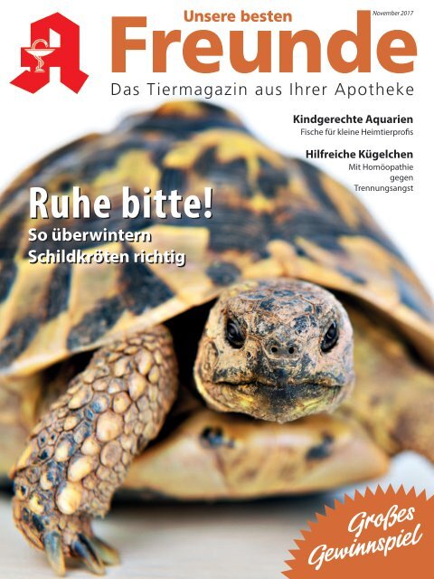 Leseprobe "Unsere besten Freunde" November 2017