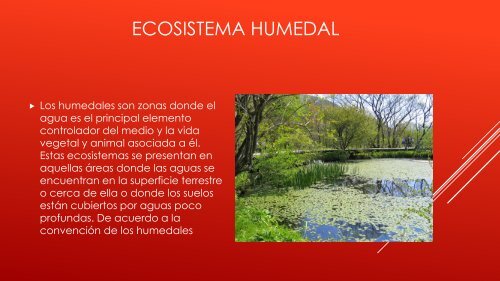 Presentacion de ambiental