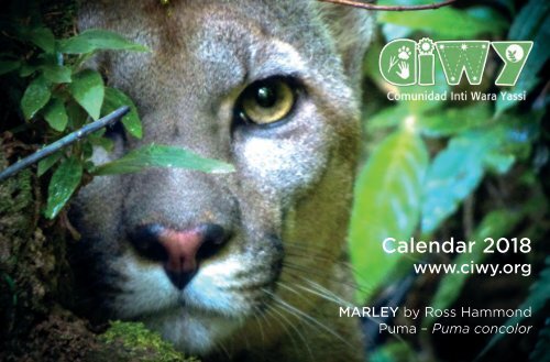 CIWY Desk Calendar 2018