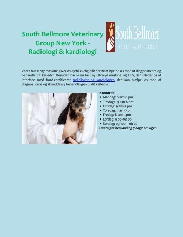 South Bellmore Veterinary Group New York - Radiologi & kardiologi