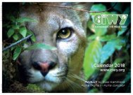 CIWY Wall Calendar 2018