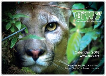 CIWY Wall Calendar 2018