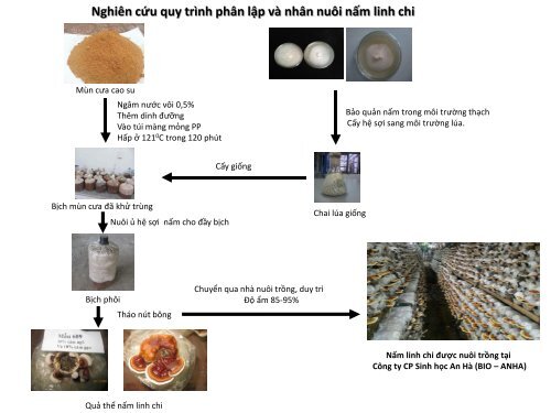 HÓA HỌC CÁC HỢP CHẤT TỰ NHIÊN NGUYEN NGOC TUAN PhD.