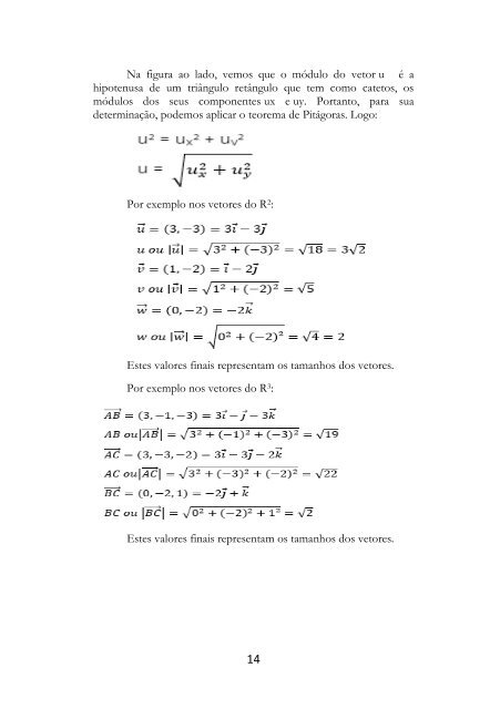 Calculo Vetorial - Um resumo inteligente