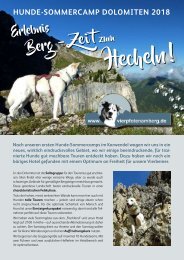 HundeSommercamp2018 Dolomiten