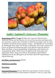 Apfel Artevos