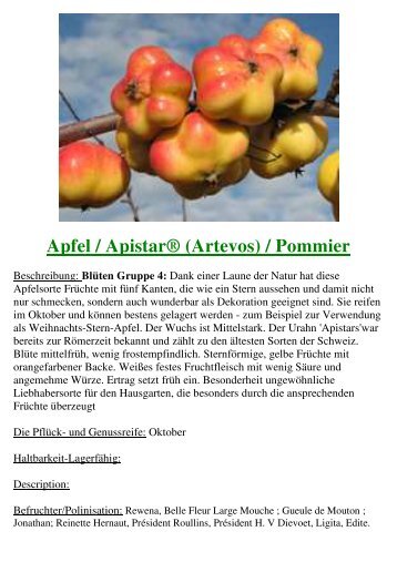 Apfel Artevos