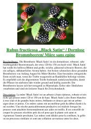 Brombeeren