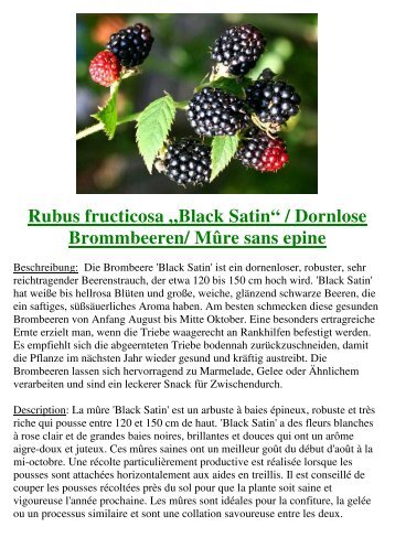 Brombeeren