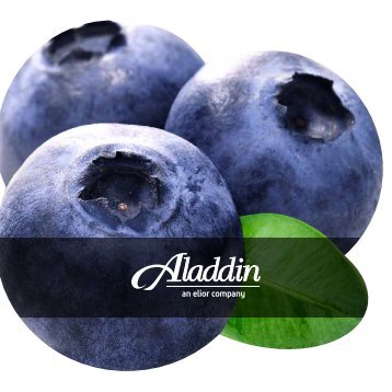 Brochure_K-12 Blueberry_Aladdin_022717_Digital