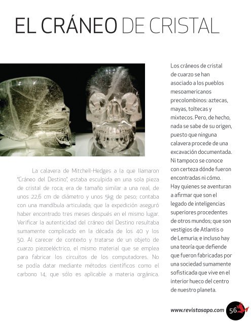 REVISTA SAPO 03