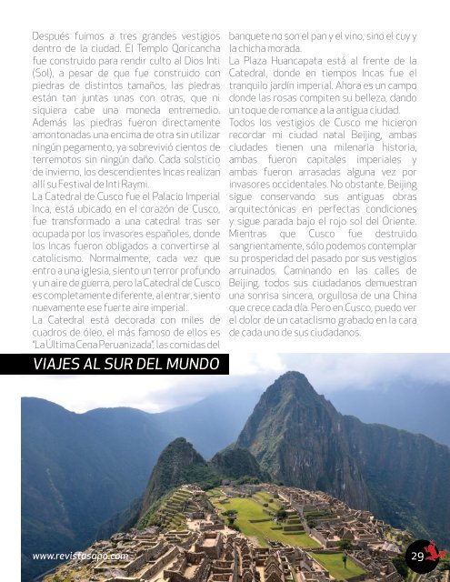 REVISTA SAPO 05