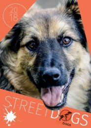 Streetdogs Kalender 2018