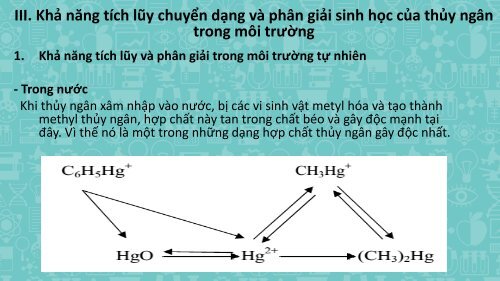 TÌM HIỂU HÌNH THÁI, SỰ CHUYỂN HÓA VÀ ĐỘC HỌC CỦA THỦY NGÂN TRONG MÔI TRƯỜNG