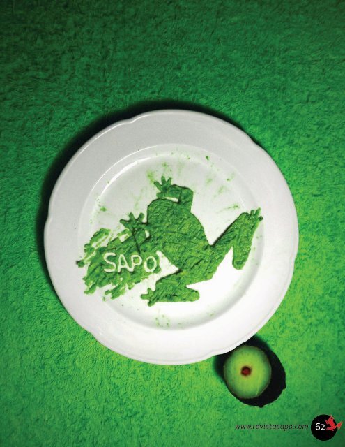 REVISTA SAPO 09 