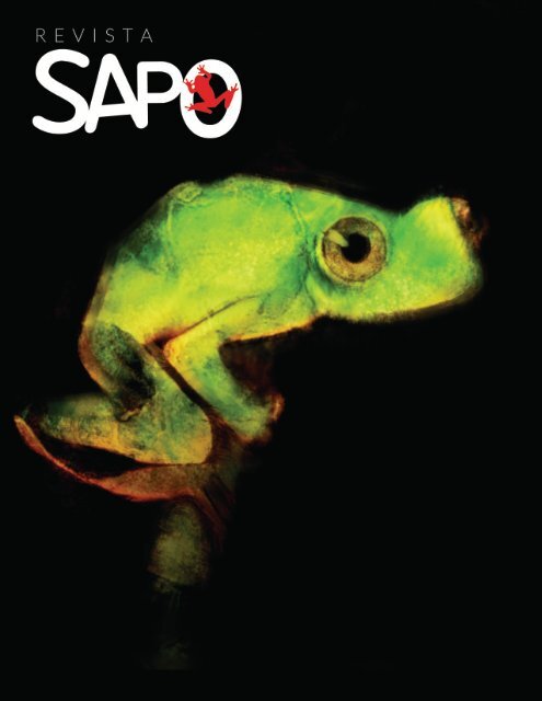 REVISTA SAPO 09 