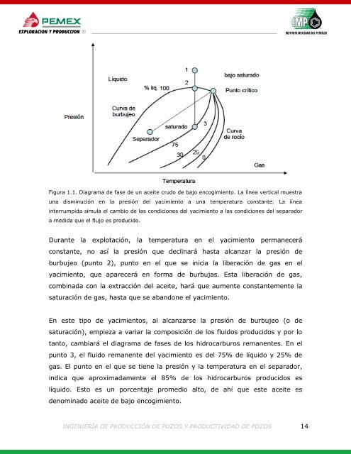 258719363-Ingenieria-de-Produccion-y-Productividad-de-Pozos