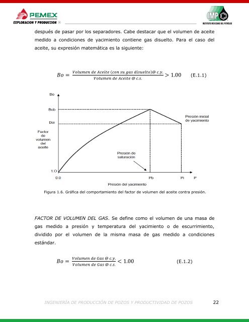 258719363-Ingenieria-de-Produccion-y-Productividad-de-Pozos