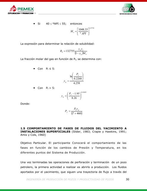 258719363-Ingenieria-de-Produccion-y-Productividad-de-Pozos