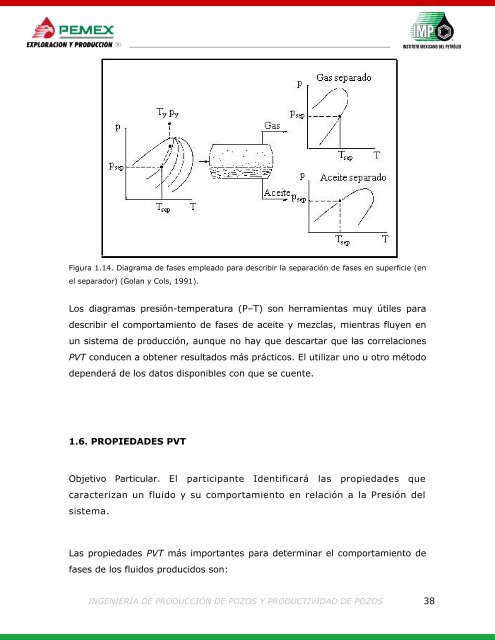 258719363-Ingenieria-de-Produccion-y-Productividad-de-Pozos