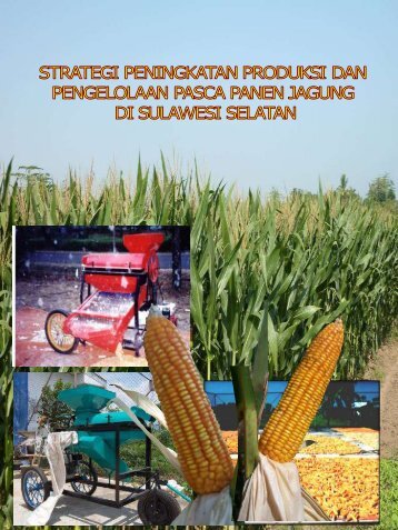 BUKU STRATEGI PENINGKATAN PRODUKSI DAN PENGOLAHAN PASCA PANEN JAGUNG