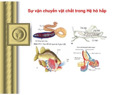 DẠY HỌC TÍCH HỢP LIÊN MÔN Ở TRƯỜNG TRUNG HỌC PHỔ THÔNG