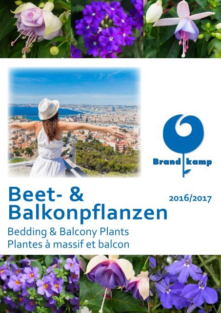 Brandkamp B &amp; B 2017