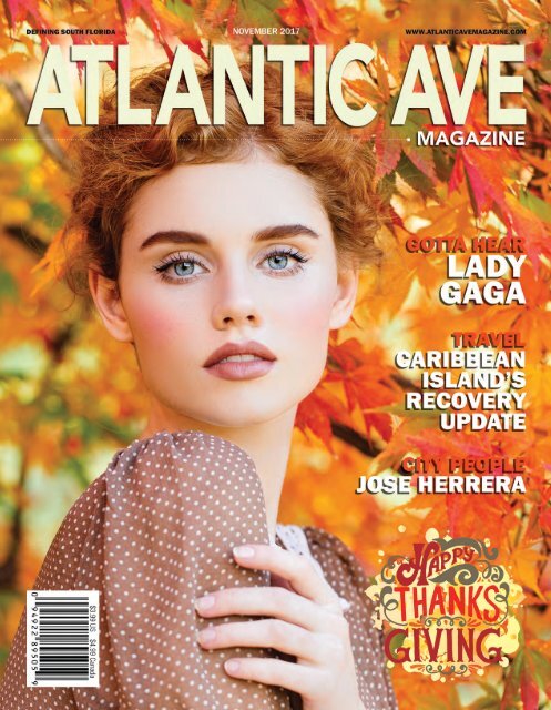 Atlantic Ave Magazine November 2017 Issue