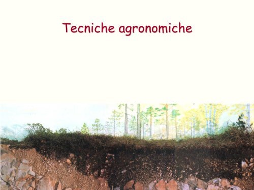 Tecnologie agrarie il suolo 