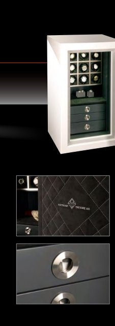 Signature Safes by HARTMANN / Luxury Safes  