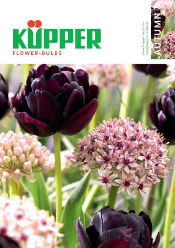 Blumenzwiebelbuch Herbst 2017/2018 (englisch)