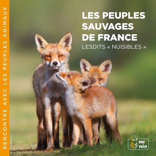 Les peuples sauvages de France lesdits nuisibles